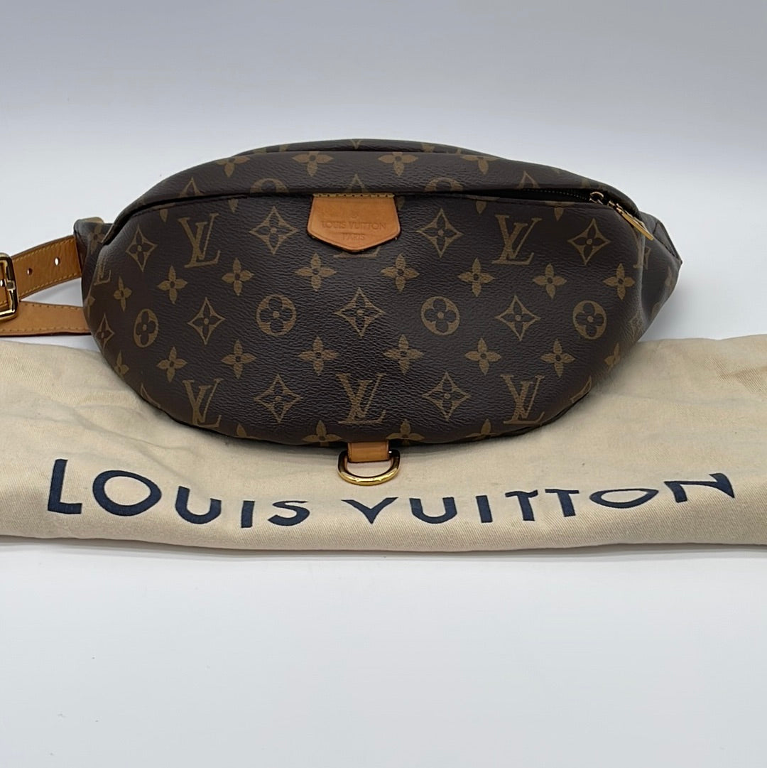 Louis Vuitton Bumbag DISCONTINUED, but options?!, Alternative Fanny