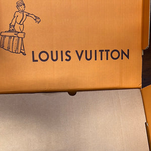 The new @Louis Vuitton High Rise Bumbag 🩷 #louisvuitton #louisvuitton, LV Bags