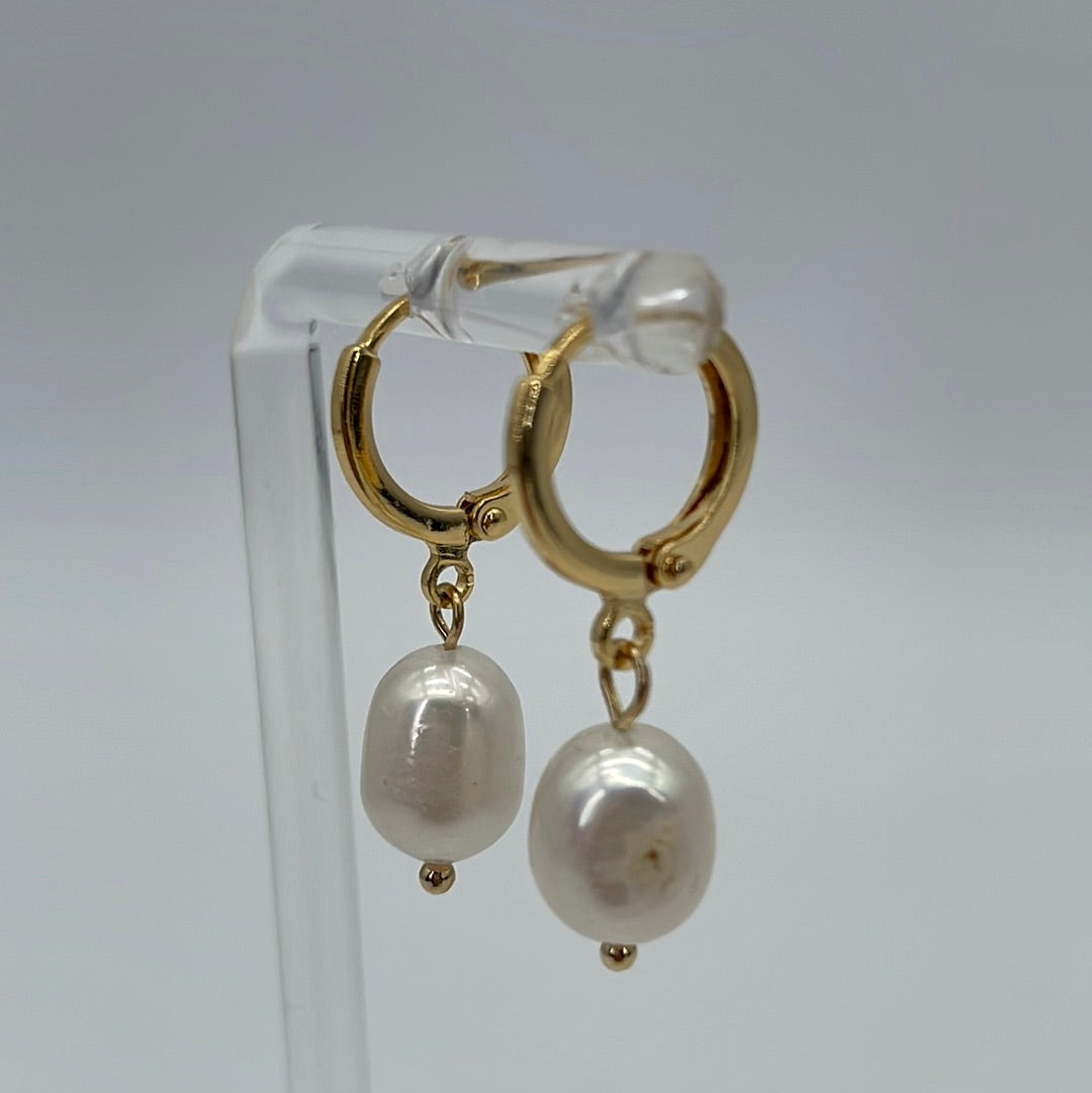 NEW Gold Pearl Earrings Stainless Steel 18K Gold Plated 051524