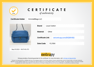 LOUIS VUITTON BLUE AND YELLOW Purse