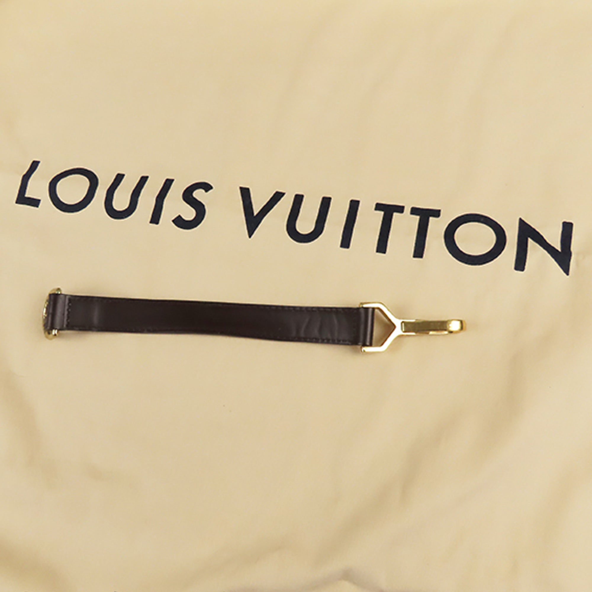 Louis Vuitton Pégase Suitcase 369191