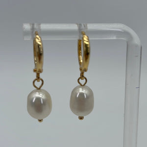 NEW Gold Pearl Earrings Stainless Steel 18K Gold Plated 051524