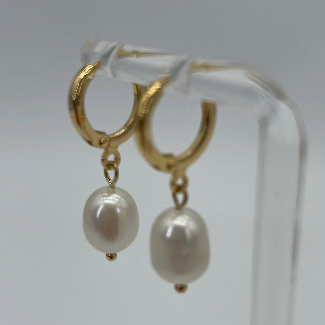 NEW Gold Pearl Earrings Stainless Steel 18K Gold Plated 051524