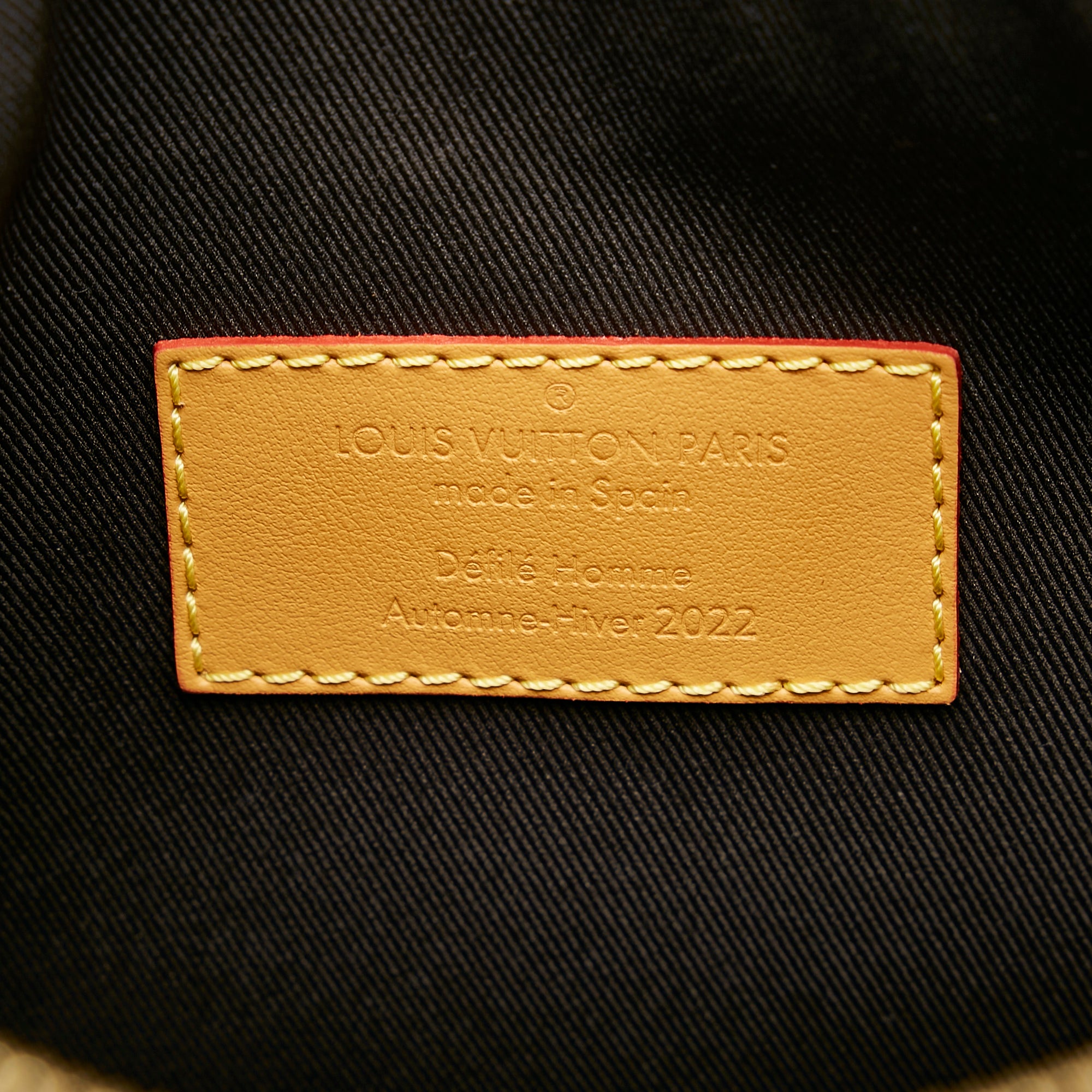 Louis Vuitton Monogram Coated Canvas Hobo Cruiser PM bag