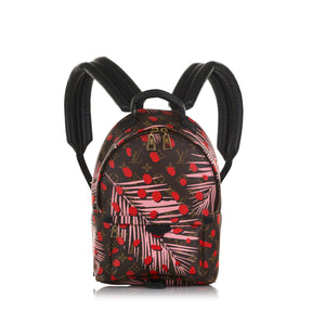 Louis Vuitton Palm Springs Backpack Limited Edition Monogram
