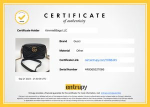 Fake Gucci Camera Bag: How To Authenticate (2023)