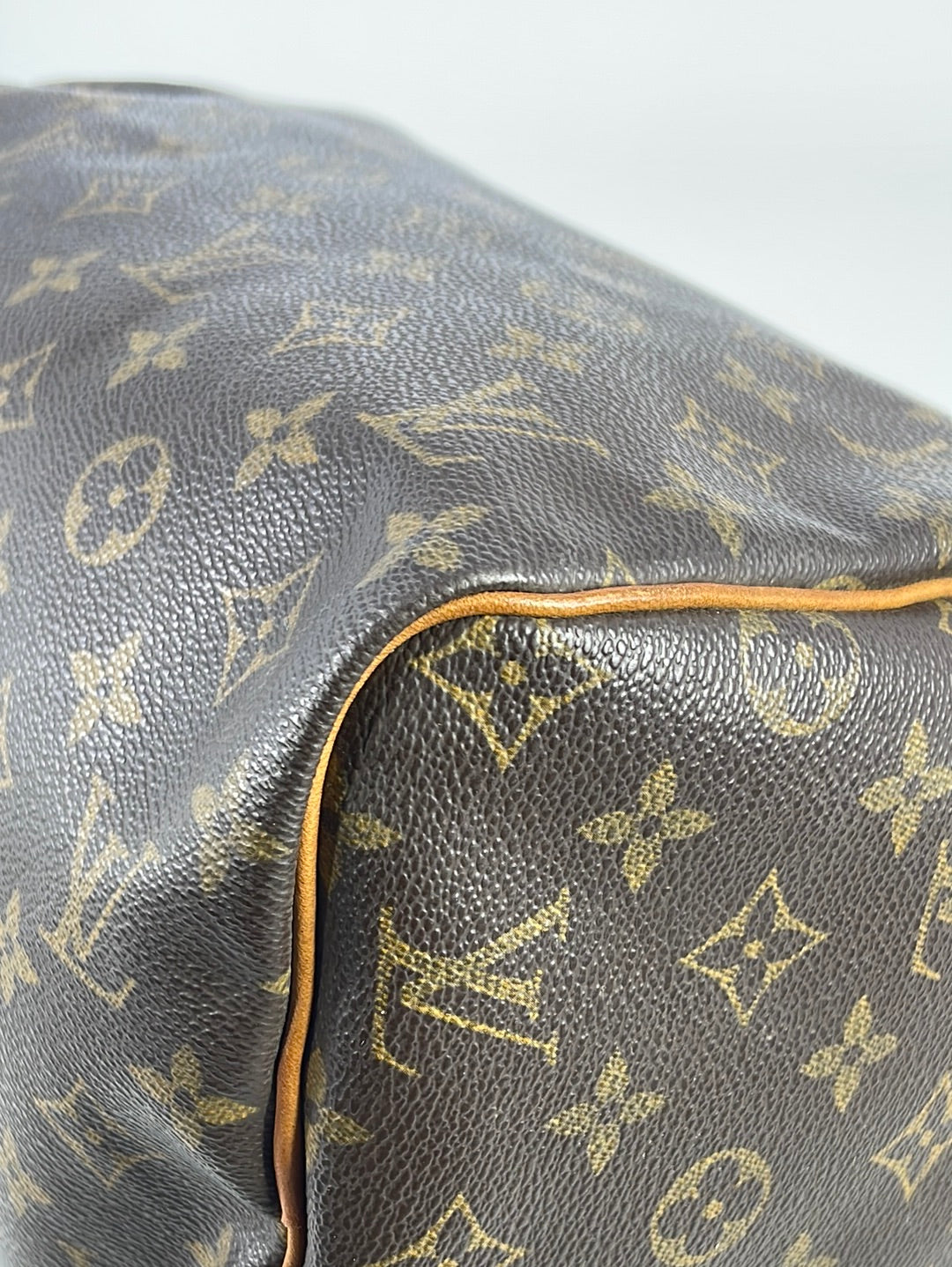 Louis Vuitton Speedy Handbag 397262