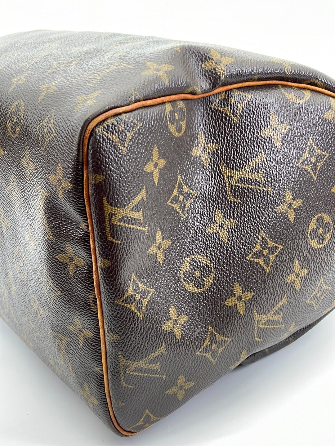 Louis Vuitton Speedy Handbag 381643