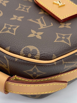 Pre-owned Louis Vuitton Boã®te Chapeau Souple Cloth Crossbody Bag In Brown
