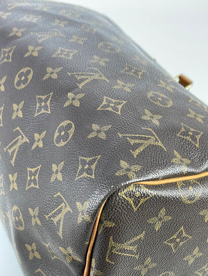 Louis Vuitton Speedy – Taschenwahn