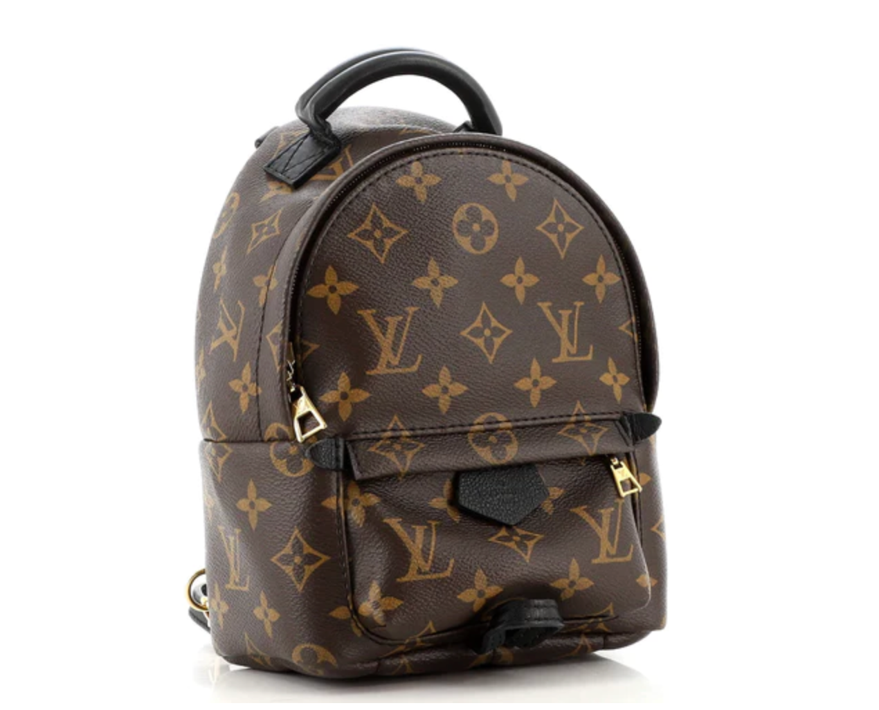 Louis Vuitton Backpack Palm Springs mini Dark brown Leather ref.739285 -  Joli Closet