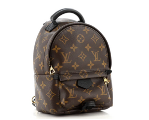 Louis Vuitton 2019 pre-owned Mini Monogram Palm Springs Backpack