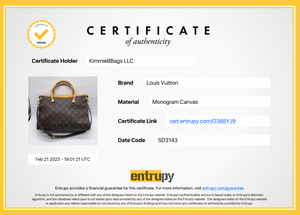 Louis Vuitton Pallas MM Handbag - Runway Catalog