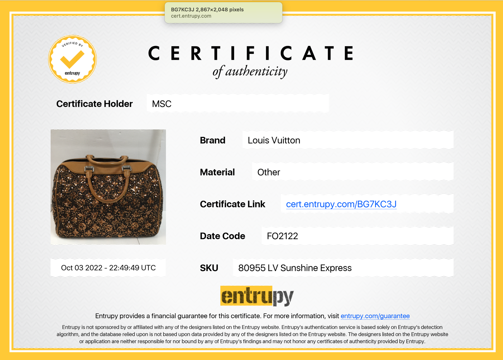 Louis Vuitton Sunshine Express Speedy 30 14145 Brown Unisex