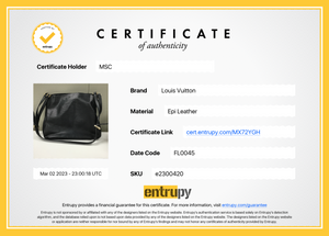 KasaÏ cloth bag Louis Vuitton Brown in Cloth - 29895634