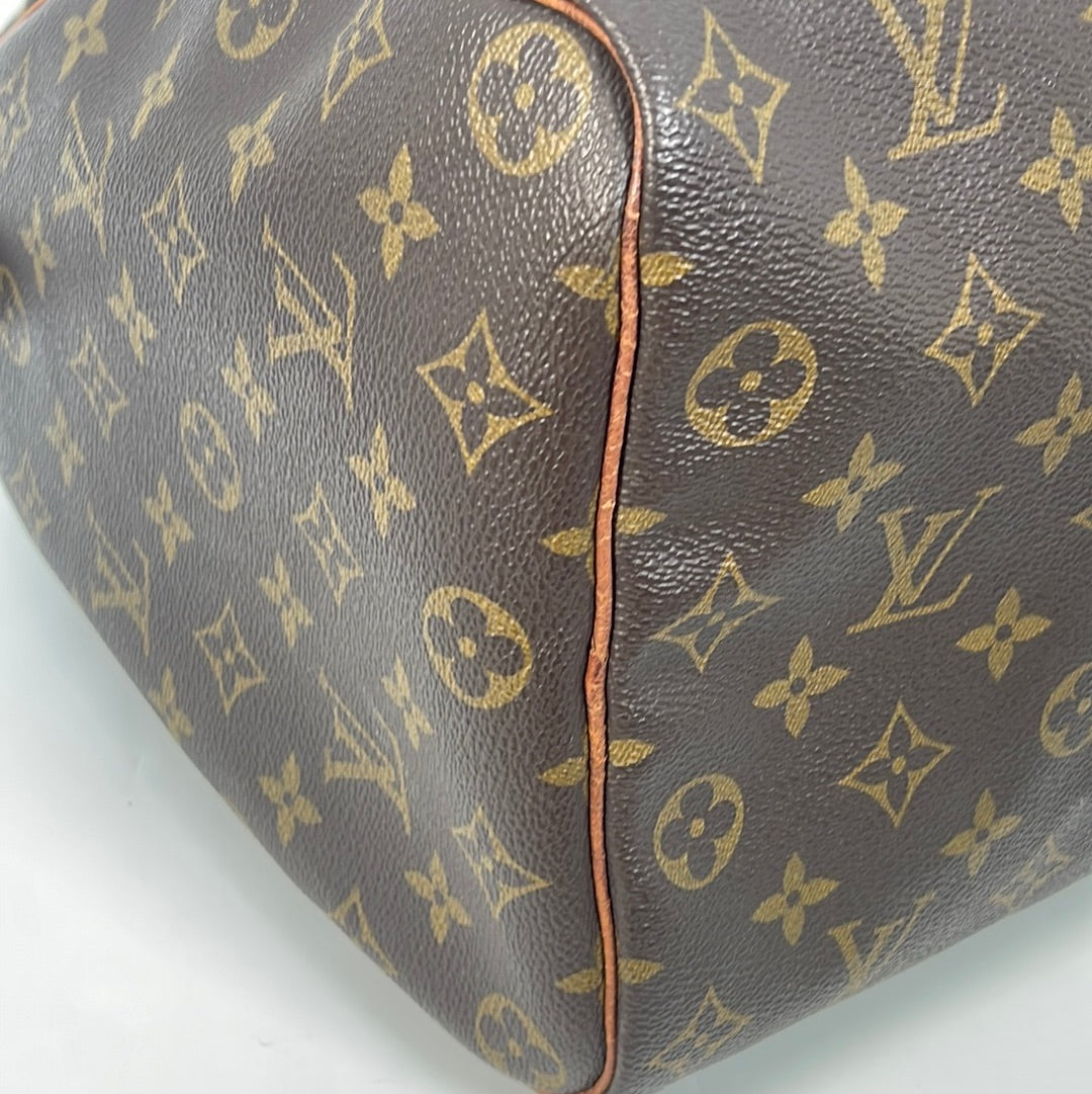 Louis Vuitton Speedy Handbag 352247