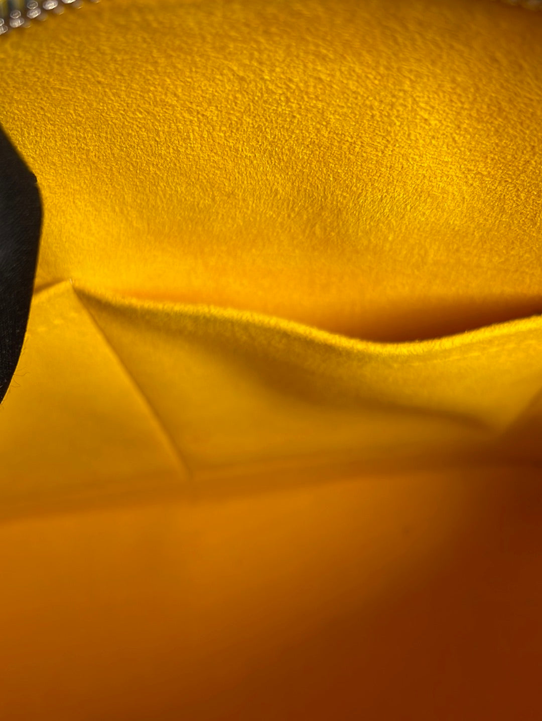 Louis Vuitton Alma PM Classic Epi Neon Yellow Tote – QUEEN MAY
