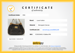 NTWRK - PRELOVED Louis Vuitton Galleria PM Monogram Bag KBW2JXR 041223