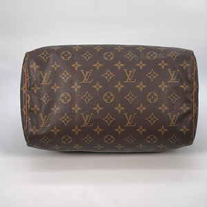 LV Bags – ZigZaGed